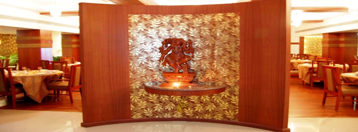 1535/Hotel Apna Palace - Indore 07.jpg